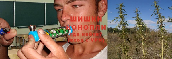 спайс Алексин