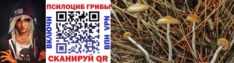 Галлюциногенные грибы MAGIC MUSHROOMS Клин